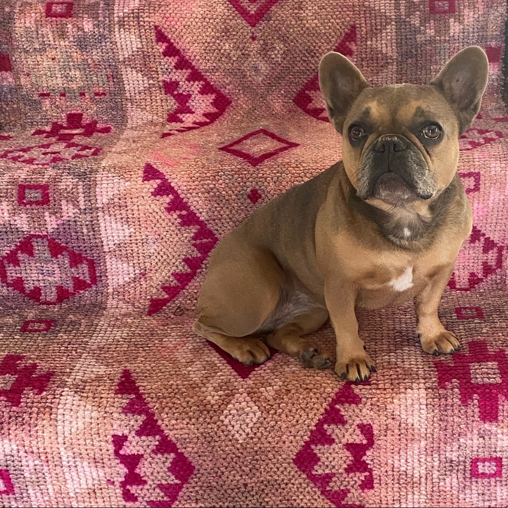 Meet your Posher, Tamra